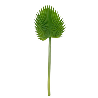 Fan Palm Stem Green (92cmH)