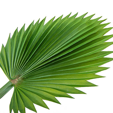 Fan Palm Stem Green (92cmH)