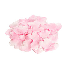 Rose Petals - Rose Petals Large Heart Shape Soft Pink (120PC Bag)