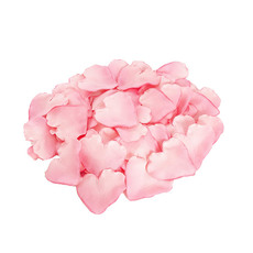 Rose Petals - Rose Petals Large Heart Shape Dusty Pink (120PC Bag)