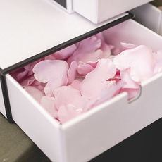 Rose Petals Large Heart Shape Light Pink (120PC Bag)