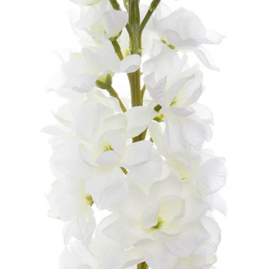 Stock Flower Stem Cream (80cmH)