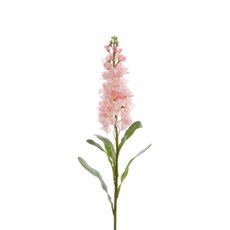 Stock Flower stem Light Pink (80cmH)