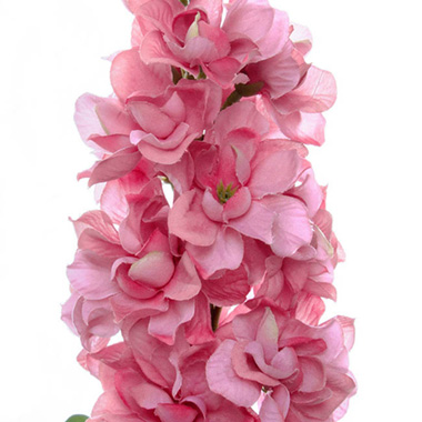 Stock Flower stem Pink (80cmH)