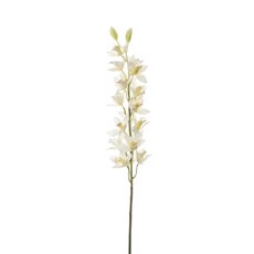 Artificial Orchids - Dendrobium Orchid Spray 21 Flowers Cream (104cmH)
