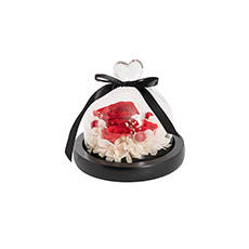 Dried & Preserved Roses - Preserved 3 Rose Head Cloche Red & Pink (12.2x13.5cm)