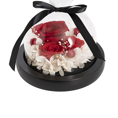Preserved 3 Rose Head Cloche Red & Pink (12.2x13.5cm)
