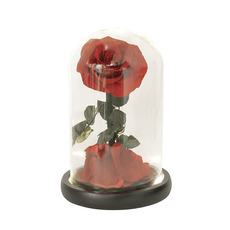 Dried & Preserved Roses - LED Preserved Single Stem Rose Cloche Red (12.3Wx20cmH)