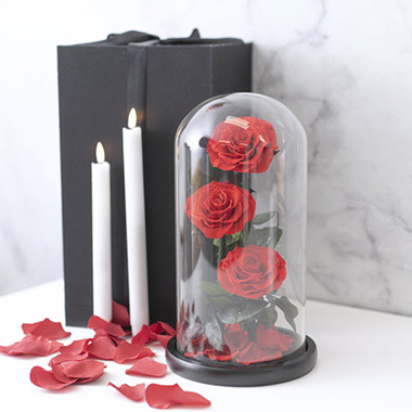 Dried & Preserved Roses - Preserved 3 Stem Rose Cloche Red (30x15cm)