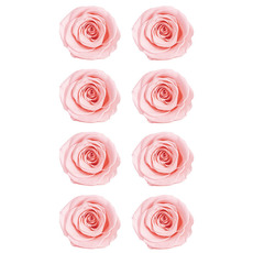 Dried & Preserved Roses - Premium Preserved Rose Head 8PCS Soft Pink (4-5cmD)