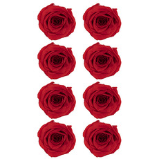 Amore Forever Rose Cloches - Amore Preserved Rose Heads 8PCS Dark Red (4-5cmD)