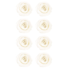 Amore Forever Rose Cloches - Amore Preserved Rose Heads 8PCS White (4-5cmD)