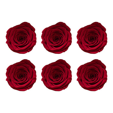 Amore Forever Rose Cloches - Amore Forever Rose Heads Pack 6 Red (5-6cmD)