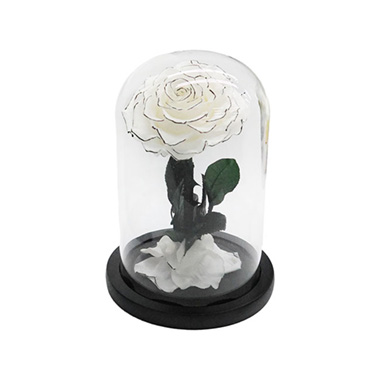 Dried & Preserved Roses - Enchanted Eternal Rose Single Stem Cloche White (12Dx20cmH)