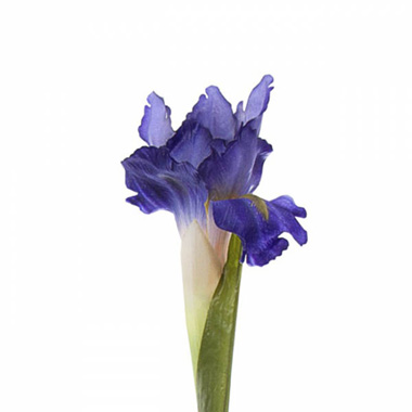 Artificial Iris - Iris Stem Purple (70cmH)