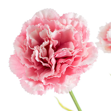 Carnation Ruffle 3 Head Spray Light Pink (61cmH)