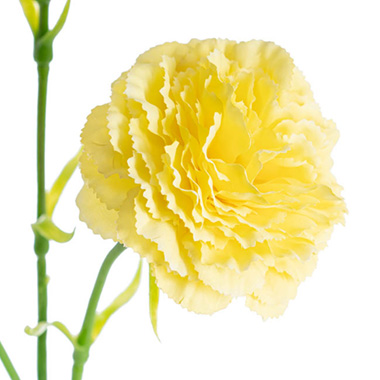 Carnation Ruffle 3 Head Spray Yellow (61cmH)