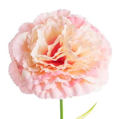 Artificial Carnation - Carnation Ruffle Stem Cream Pink (9cmDx42cmH)