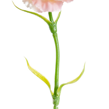 Carnation Ruffle Stem Cream Pink (9cmDx42cmH)