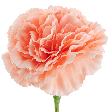 Carnation Ruffle Stem Soft Peach (9cmDx42cmH)