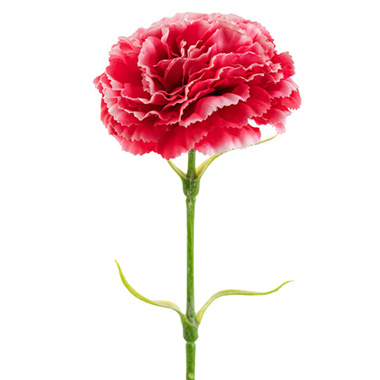 Artificial Carnation - Carnation Ruffle Stem Cream Rouge Pink (9cmDx42cmH)