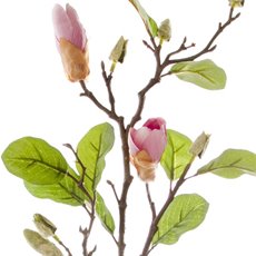 Magnolia Bud Spray x2 Pink (71cmH)