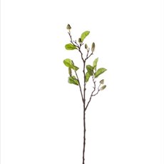 Artificial Magnolias - Magnolia Bud Spray x8 Green (71cmH)