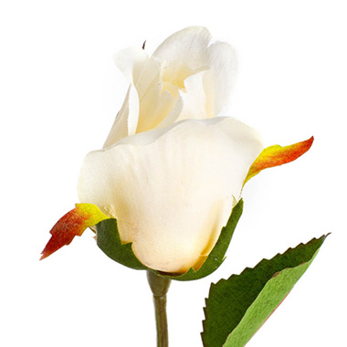 Artificial Roses - Siena Silk Rose Bud Cream (66cmH)