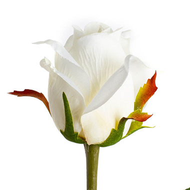  - Siena Silk Rose Large Bud Half Open White (66cmH)