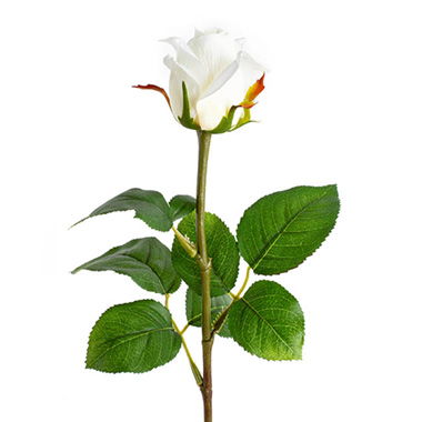 Siena Silk Rose Large Bud Half Open White (66cmH)
