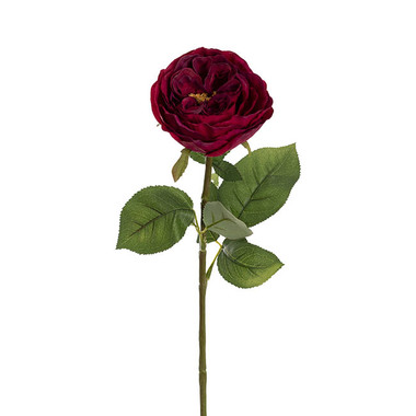 Gift AF - Artificial Roses - Austin Cabbage Rose Burgundy (10cmDx66cmH)