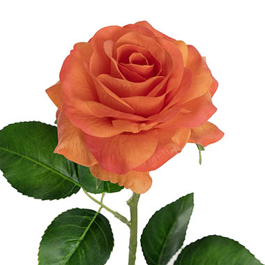 Artificial Roses - Miller Rose Open Real Touch Apricot Orange (9cmDx57cmH)