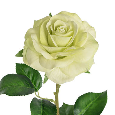 Artificial Roses - Miller Rose Open Real Touch Pale Green (9cmDx57cmH)
