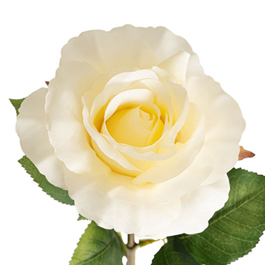Artificial Roses - Siena Silk Rose Open Cream (67cmH)