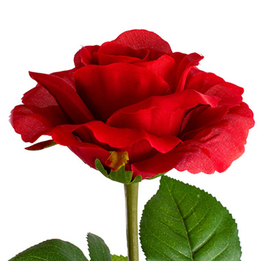 Siena Silk Rose Open Red (67cmH)