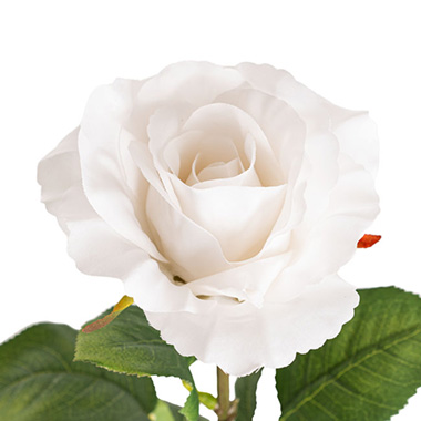 Artificial Roses - Siena Silk Rose Open White (67cmH)