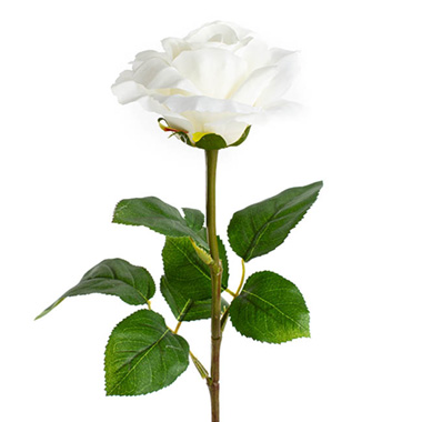 Siena Silk Rose Open White (67cmH)
