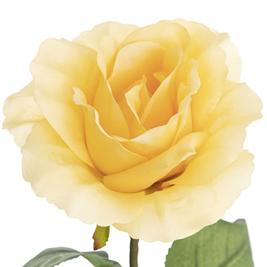Siena Silk Rose Open Soft Yellow (67cmH)