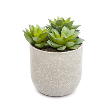 Artificial Indoor Plants - Potted Succulent Rosette 3 Heads (12cm)