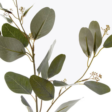 Eucalyptus Seeded Spray Green (72cmH)