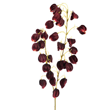 Other Artificial Flowers - Lantern Flower Spray Burgundy (97cmH)
