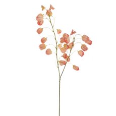 Other Artificial Flowers - Lantern Flower Spray Coral (97cmH)