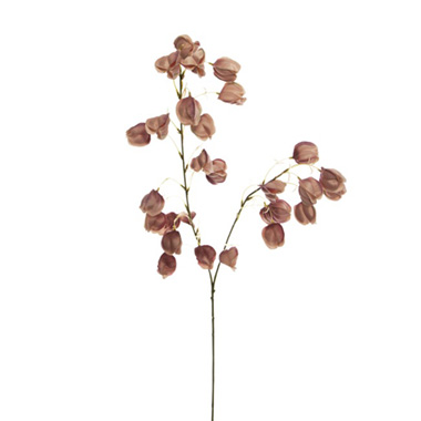 Other Artificial Flowers - Lantern Flower Spray Dusty Rose (97cmH)