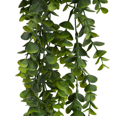 Hanging Plants Eucalyptus Bush Green (80cmH)