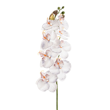 Artificial Orchids - Phalaenopsis Orchid Real Look 8 Flowers White Grey (78cmH)