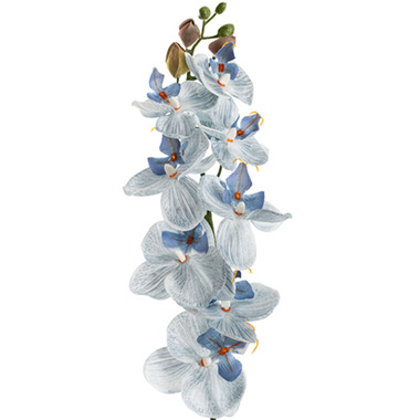 Phalaenopsis Orchid Real Look 8 Flowers White Blue (78cmH)