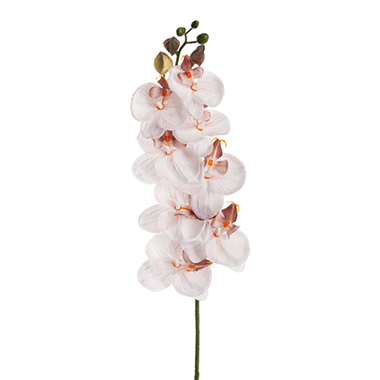 Phalaenopsis Orchid Real Look 8 Flowers Coral-Pink (78cmH)