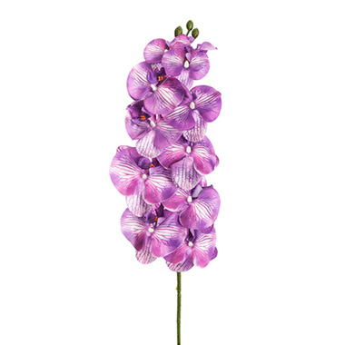 Artificial Orchids - Phalaenopsis Orchid 3D Real Look 11 Flowers Purple (105cmH)