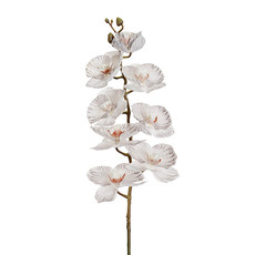 Real Touch Orchids - Phalaenopsis Orchid 3DReal Touch 8Flowers White Grey (77cmH)