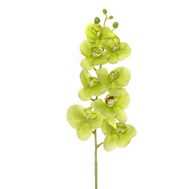 Artificial Orchids - Phalaenopsis Orchid Real Touch 8 Flowers Green (97cmH)